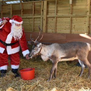 visit santa gloucestershire 2022