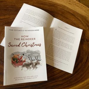 How the Reindeer Saved Christmas Book
